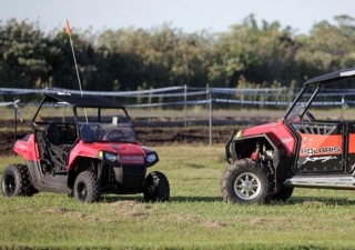 Camada de buggy em 62 
